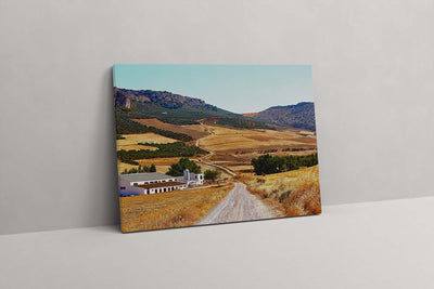 Long Country Road (Canvas Prints)
