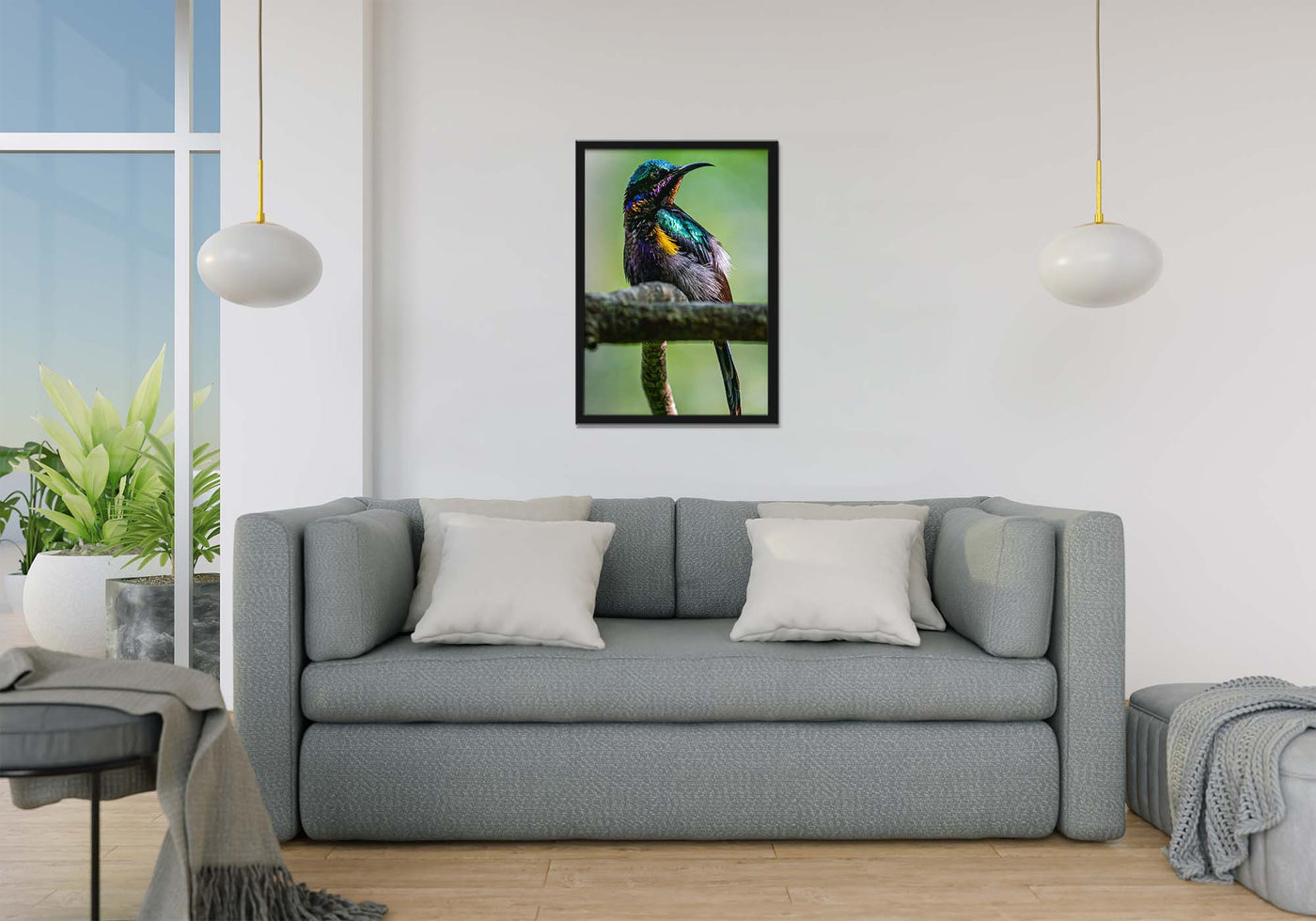 Copper Throated Sunbird (Art Prints)