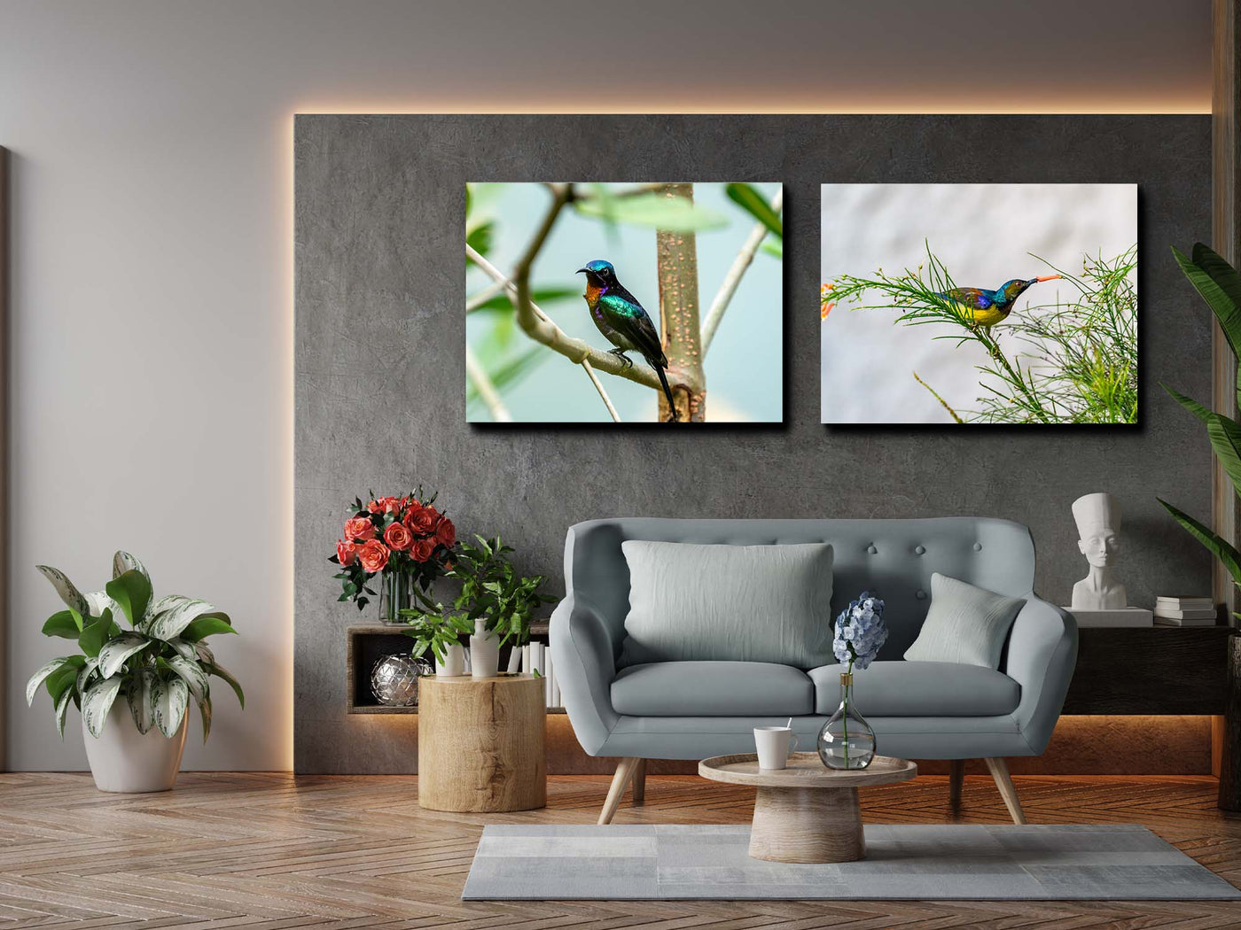 Copper Throated Sunbird (Canvas Prints)