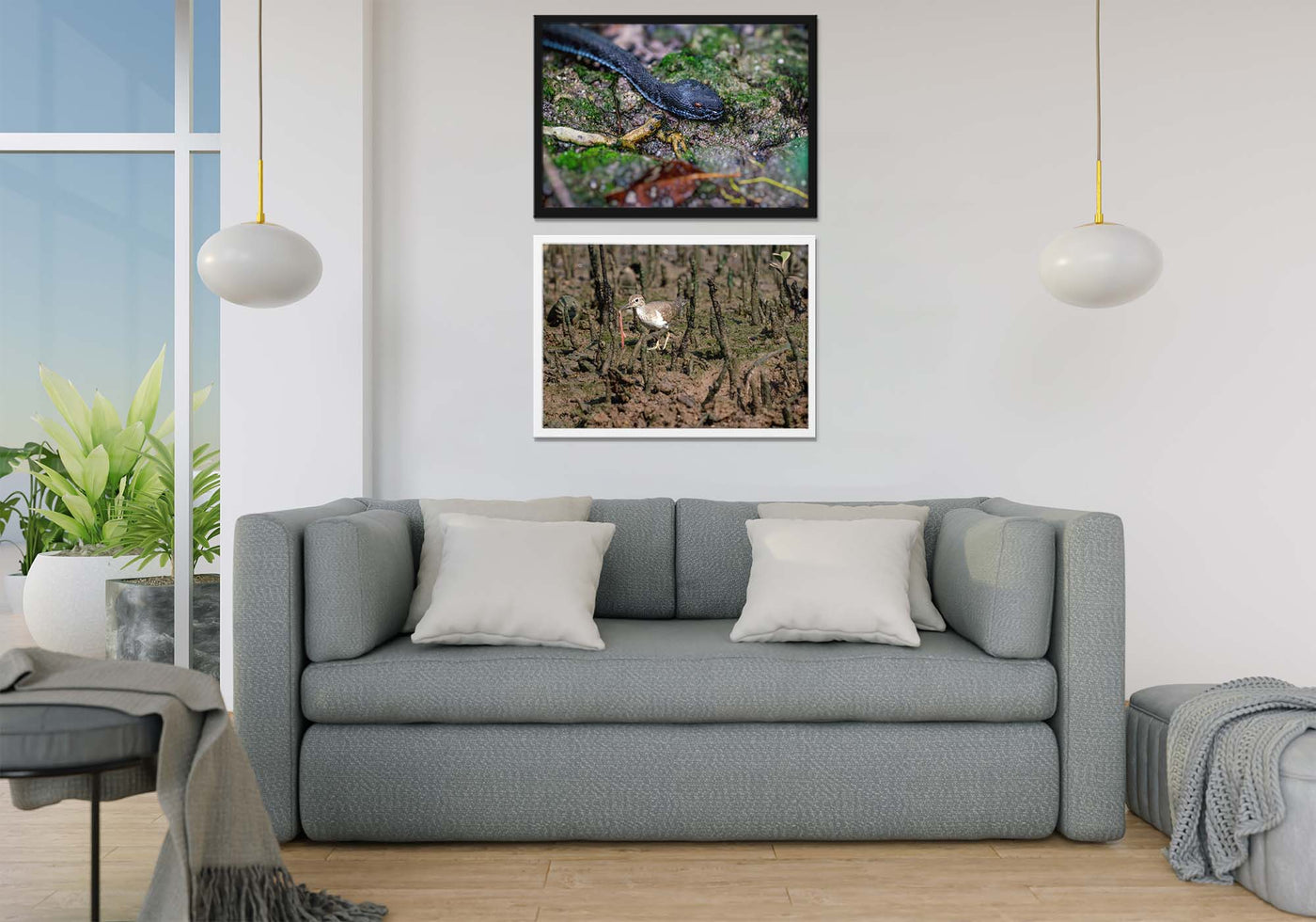 Mangrove Pit Viper (Art Prints)