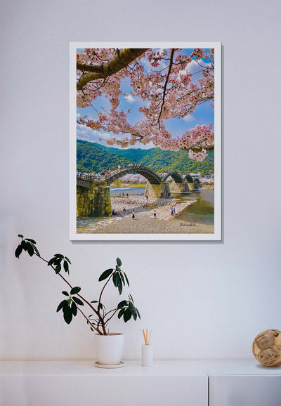 Pink Iwakuni (Framed Prints)