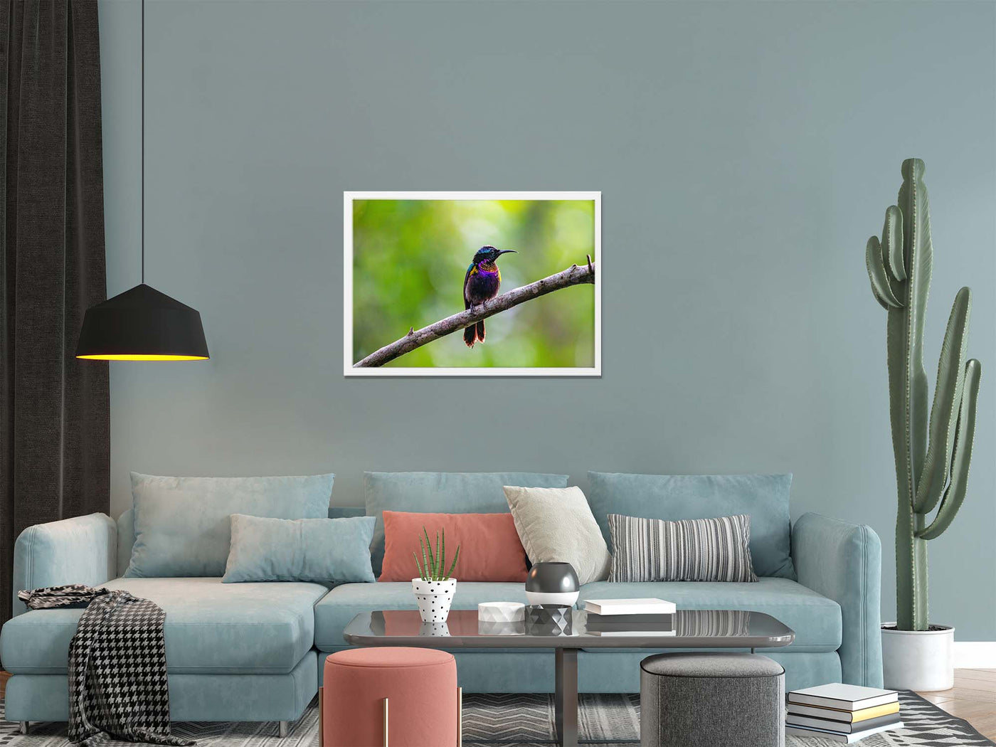 Copper Throated Sunbird (Framed Prints)