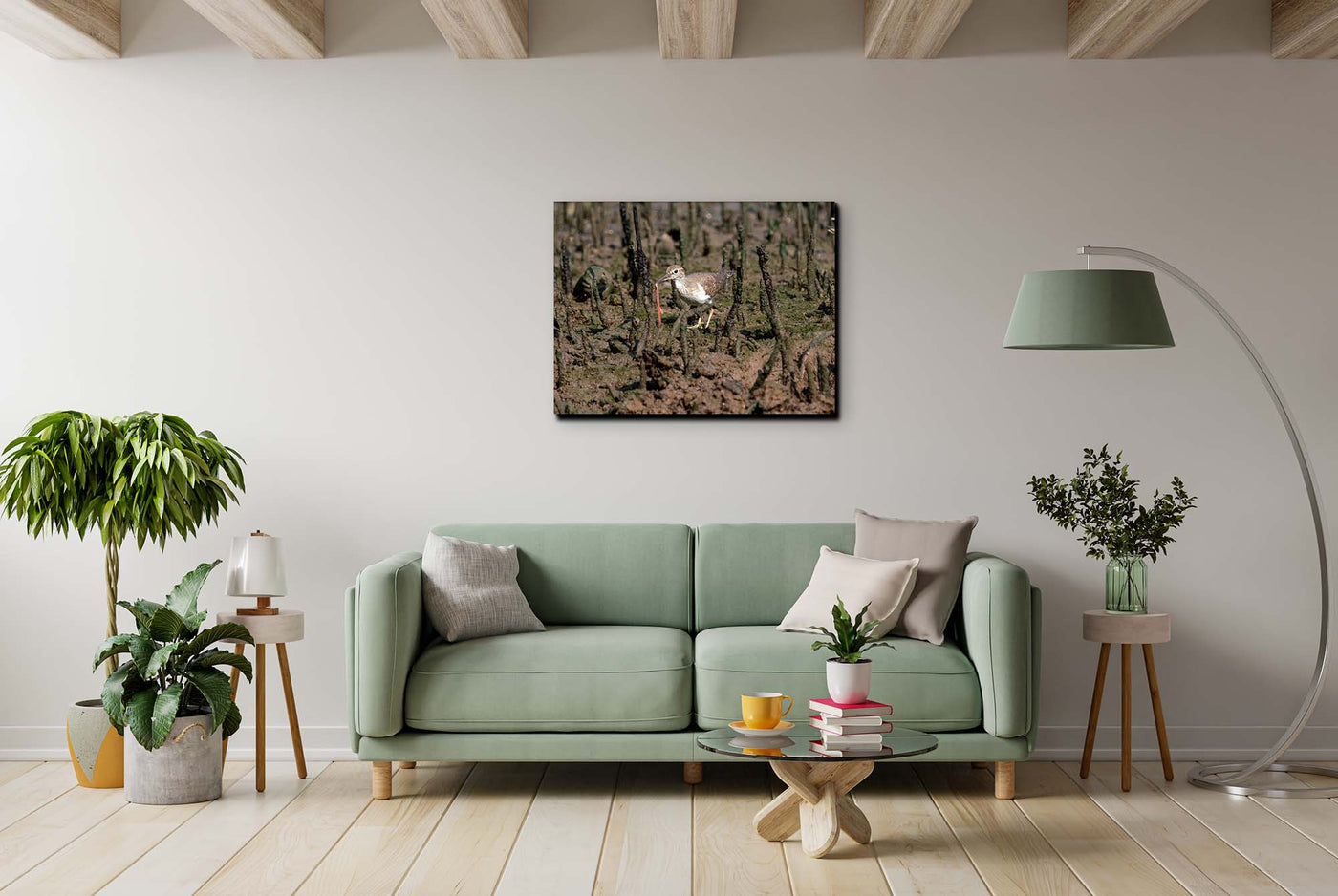 Common Redshank (Canvas Prints)