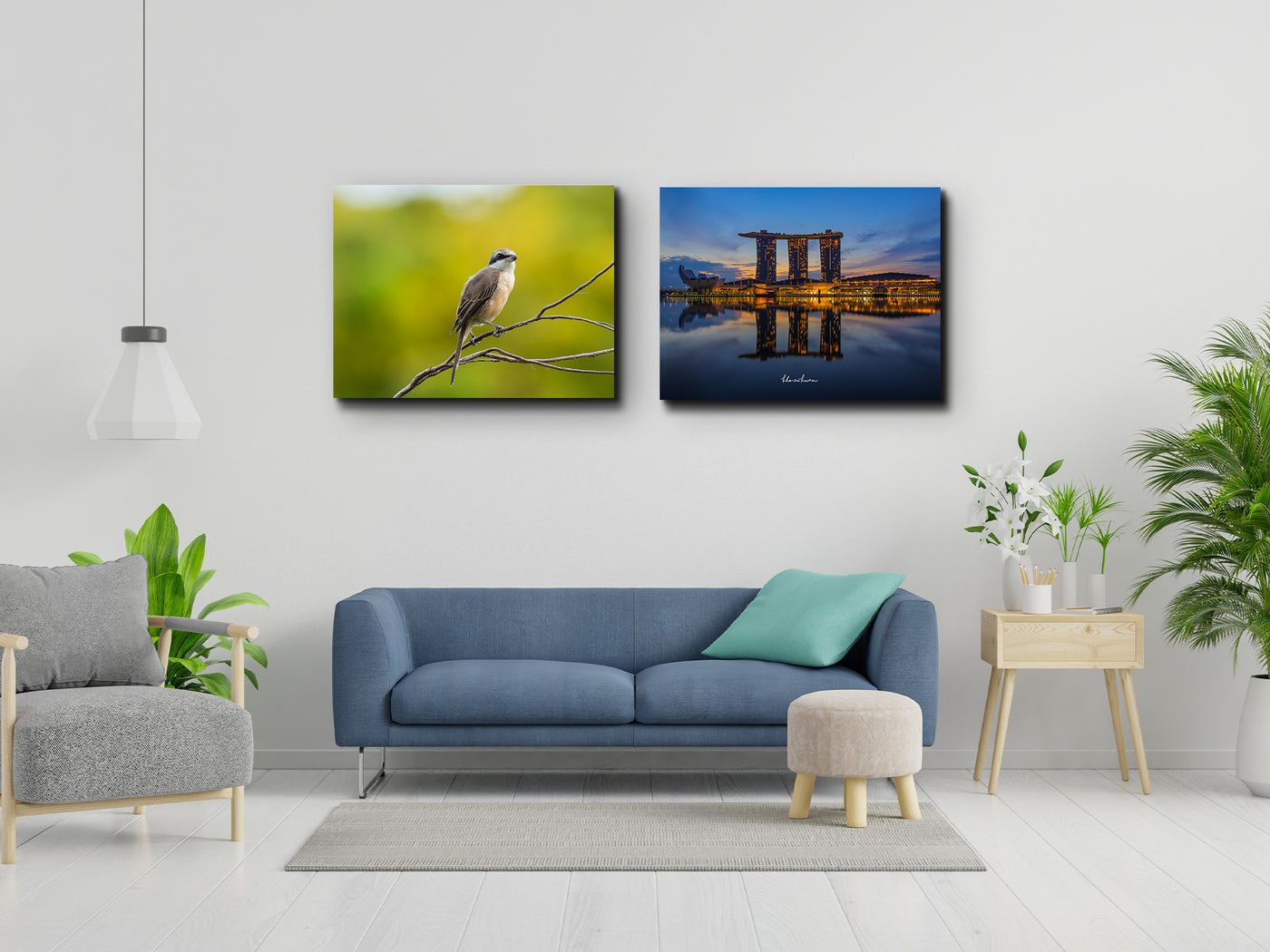 Brown Shrike at Garden By the Bay (Canvas Prints)
