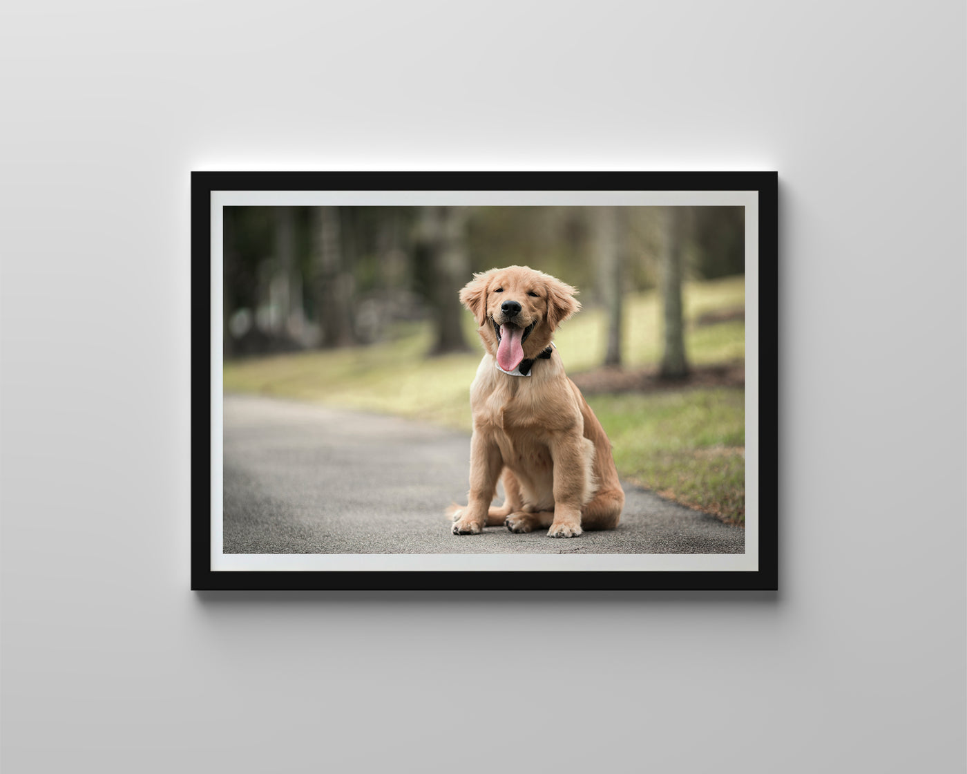 Golden Retriever Puppy (Digital)