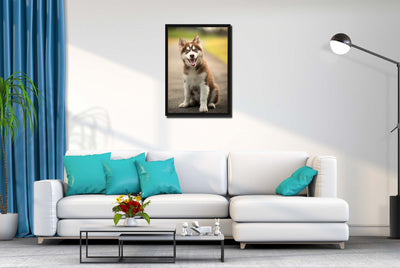 Husky Puppy (Framed Prints)