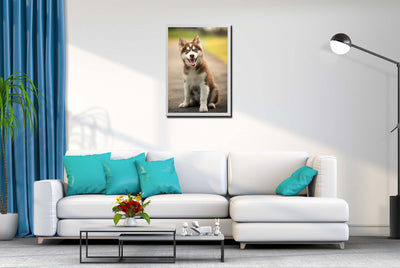 Husky Puppy (Framed Prints)