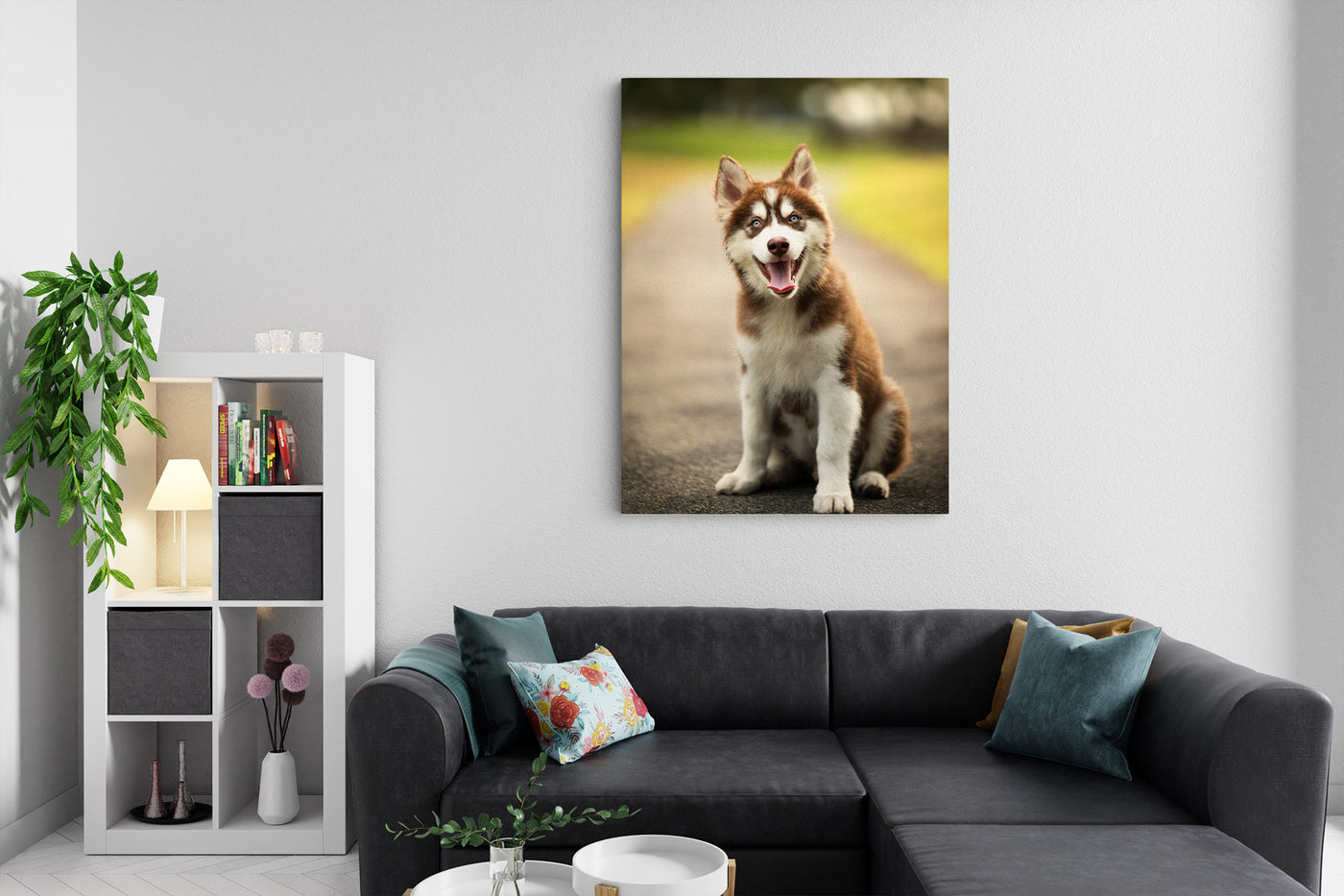 Husky puppy (Canvas Prints)