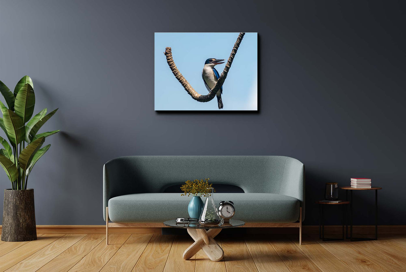 Kingfisher (Canvas Prints)