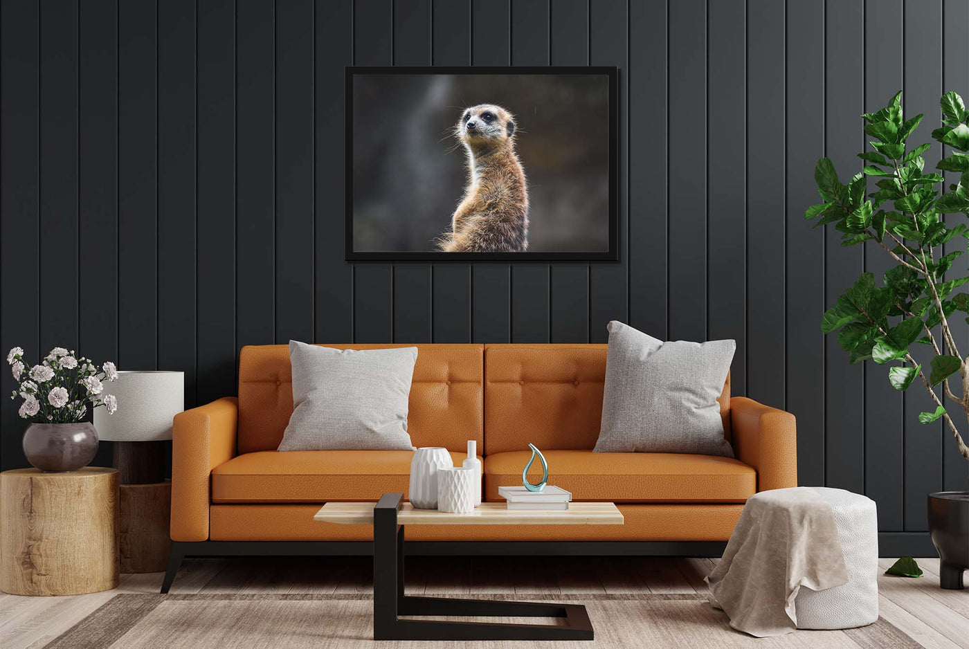 Curious Meerkat (Art Prints)