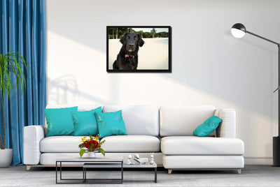 Pepper Mixed Breed  (Framed Prints)