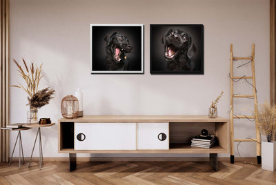 Pepper Mixed Breed (Framed Prints)