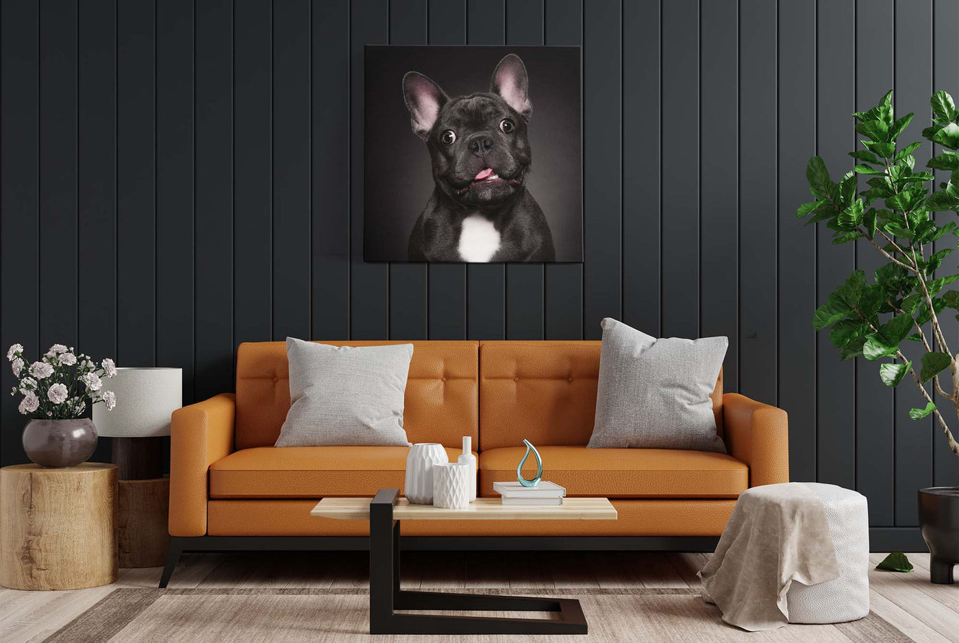 Rocco French Bulldog (Canvas Prints)