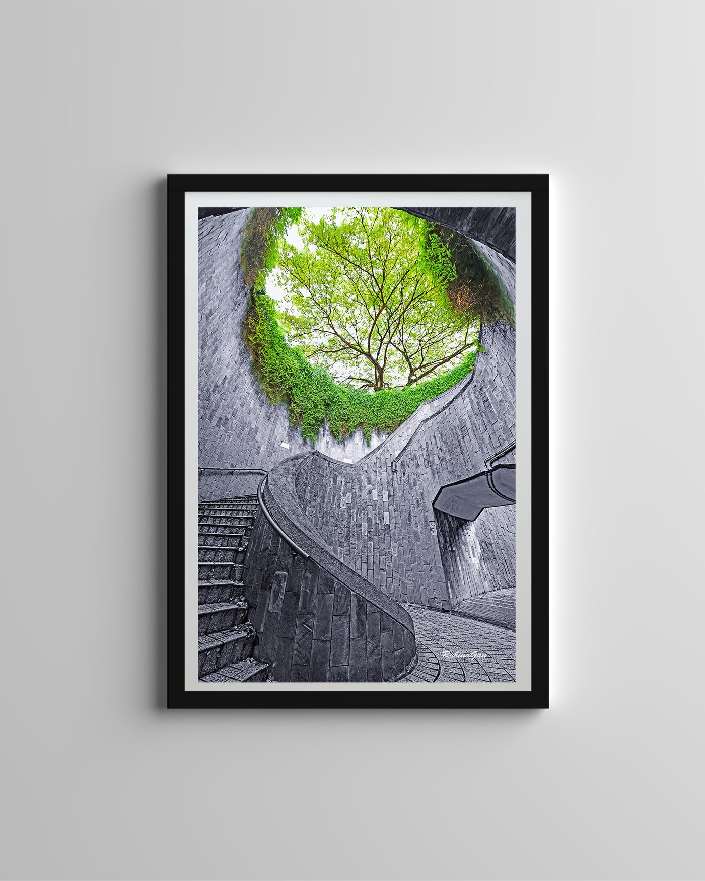 Spiral Staircase (Framed Prints)