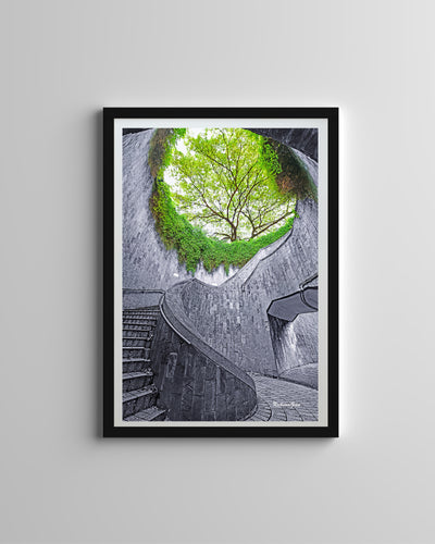 Spiral Staircase (Framed Prints)