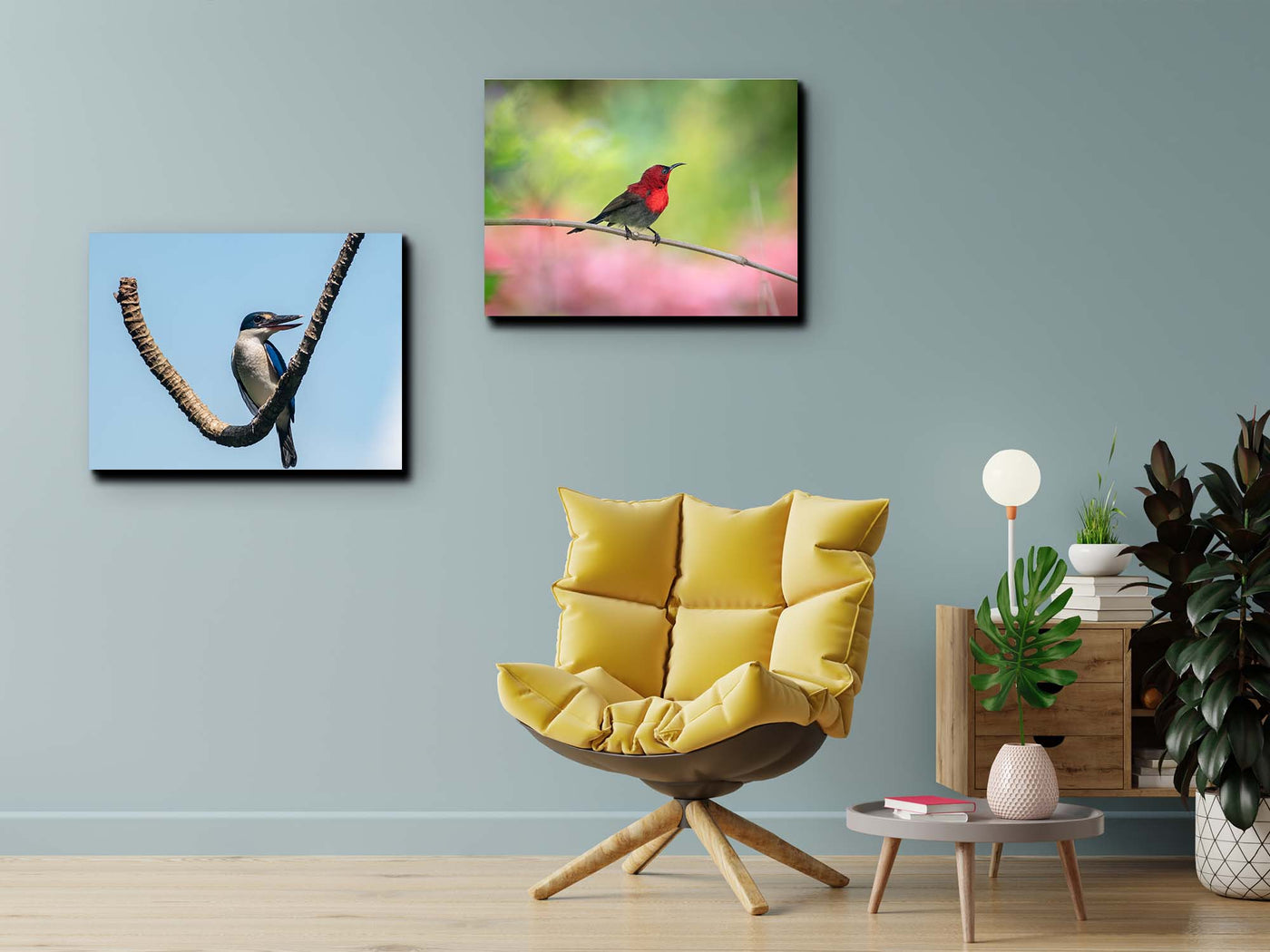 Sunbird  (Canvas Prints)