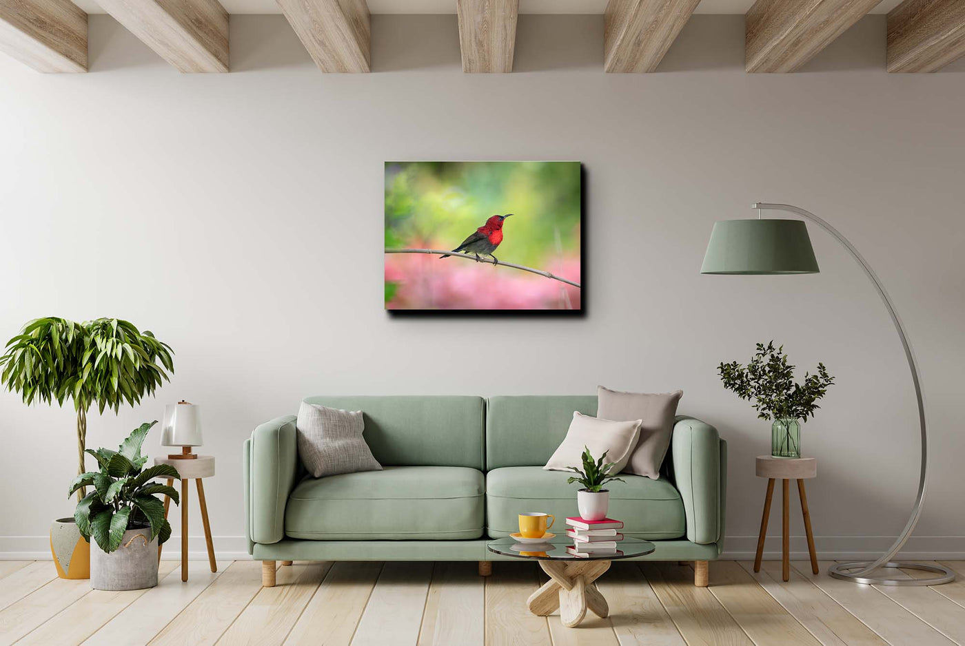 Sunbird  (Canvas Prints)